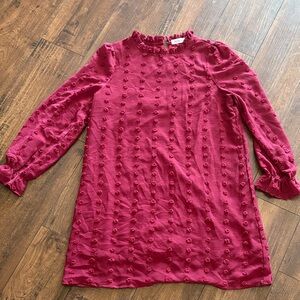 Adibosy Maroon  textured polka dot Dress